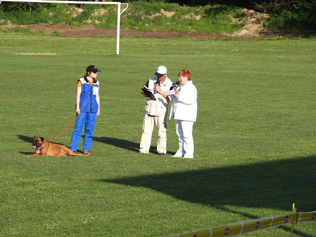 www.atibox.net * www.euroboxer.eu * www.boxergenealogia.eu